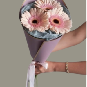 RAMO PRIMAVERA SUAVE