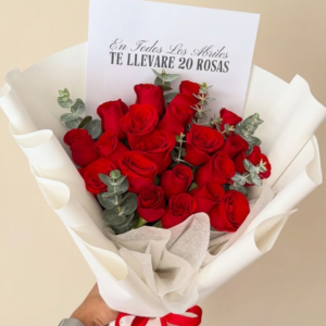 20 RAZONES PARA AMAR